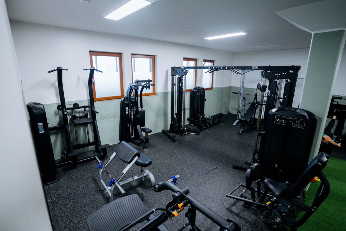 Fitnes del